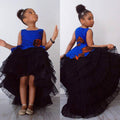 Little Princess Net Dress