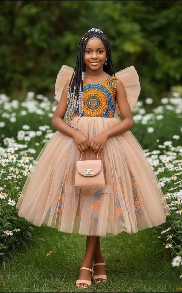 Little Princess Net Dress