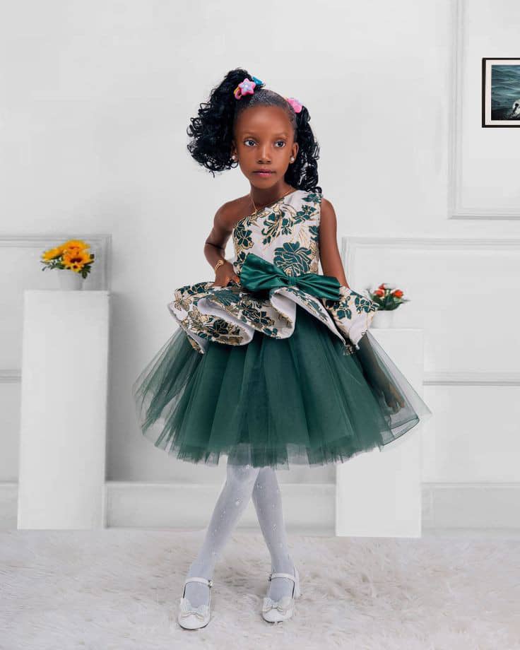 Little Princess Net Dress